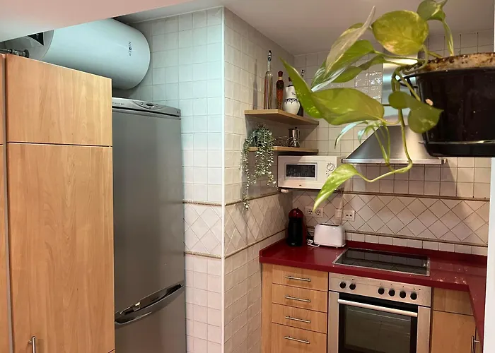 Rghost-apartamento La Palma En Casco Historico *